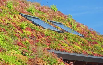 Milton Green living roof systems